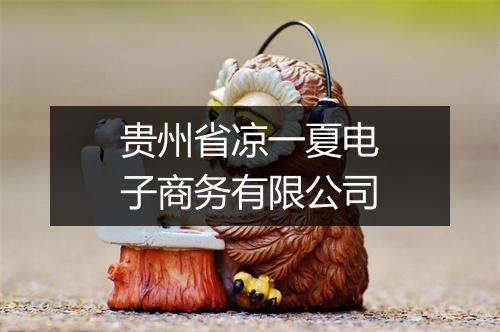 贵州省凉一夏电子商务有限公司