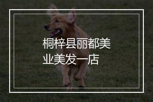 桐梓县丽都美业美发一店