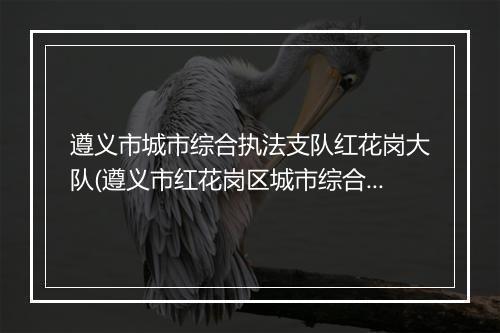 遵义市城市综合执法支队红花岗大队(遵义市红花岗区城市综合执法指挥中心)