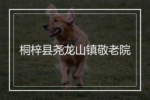 桐梓县尧龙山镇敬老院