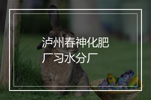 泸州春神化肥厂习水分厂