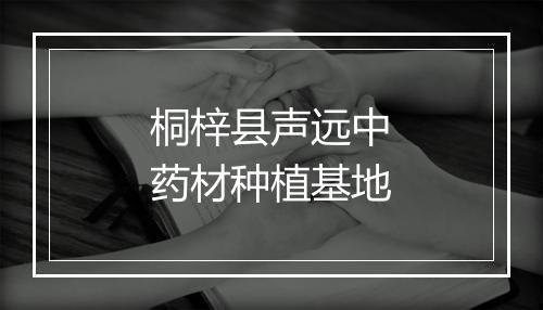 桐梓县声远中药材种植基地