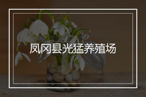 凤冈县光猛养殖场