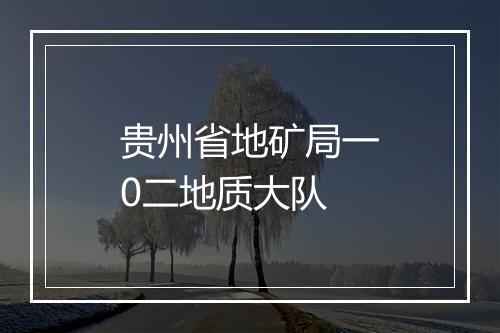 贵州省地矿局一0二地质大队