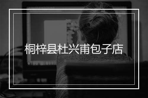 桐梓县杜兴甫包子店