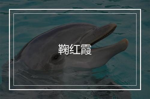 鞠红霞