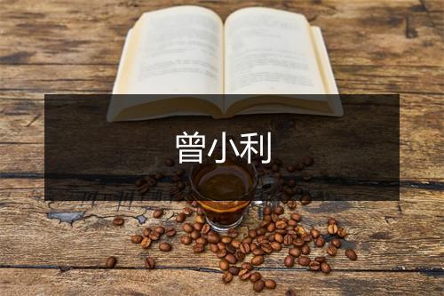 曾小利