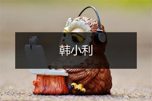 韩小利