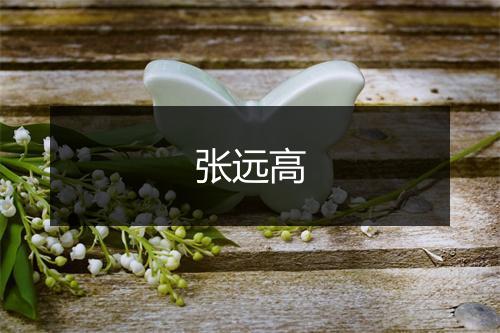 张远高