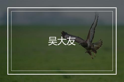 吴大友