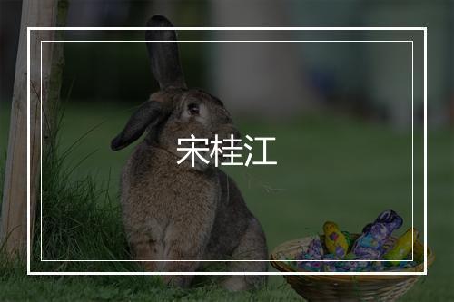 宋桂江