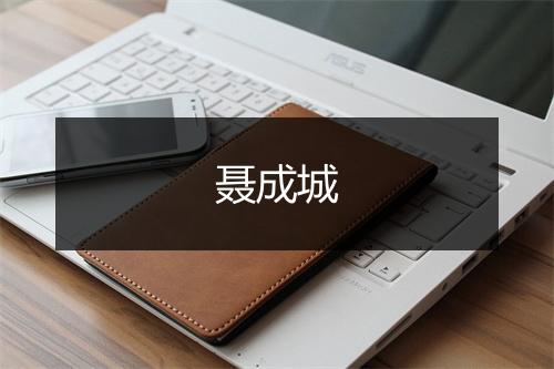 聂成城