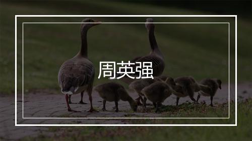 周英强