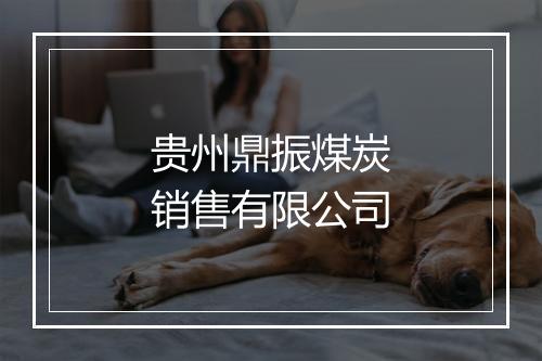 贵州鼎振煤炭销售有限公司