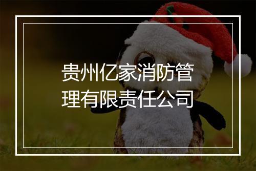 贵州亿家消防管理有限责任公司