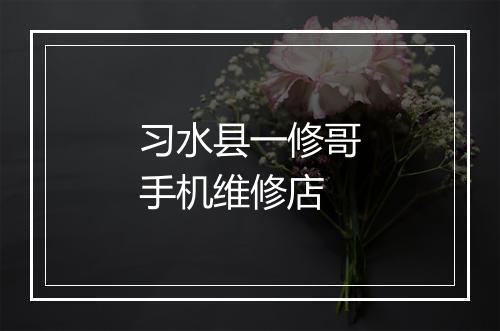习水县一修哥手机维修店
