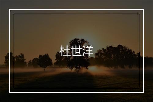 杜世洋