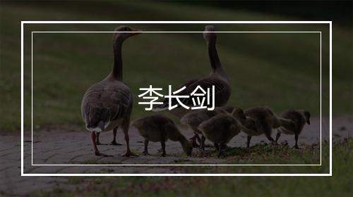 李长剑