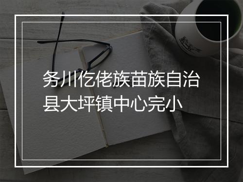 务川仡佬族苗族自治县大坪镇中心完小