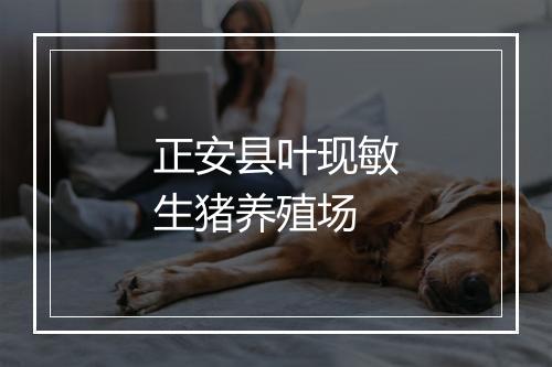 正安县叶现敏生猪养殖场