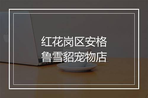 红花岗区安格鲁雪貂宠物店