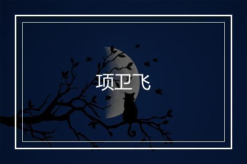 项卫飞