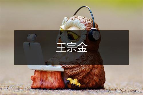 王宗金