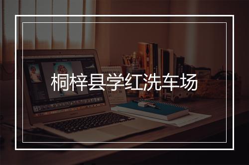 桐梓县学红洗车场