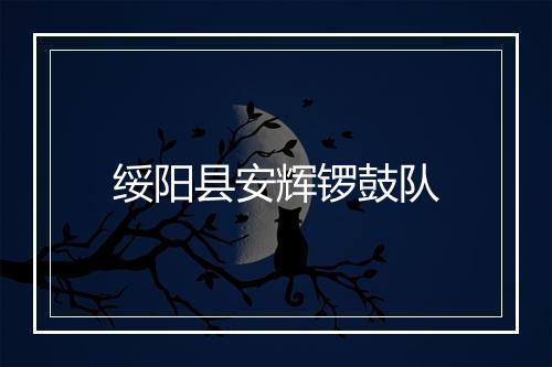 绥阳县安辉锣鼓队