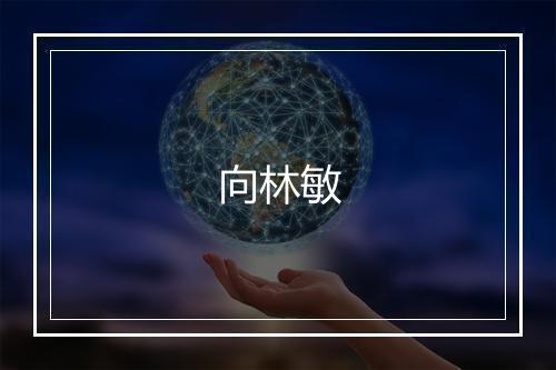 向林敏