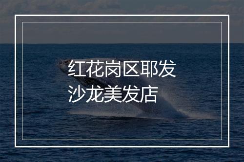 红花岗区耶发沙龙美发店