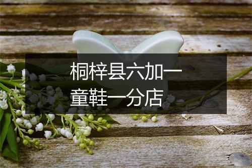 桐梓县六加一童鞋一分店
