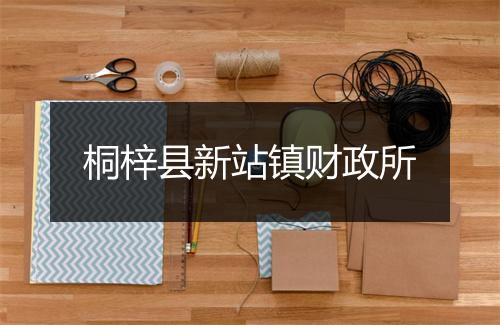 桐梓县新站镇财政所