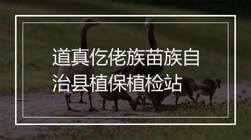 道真仡佬族苗族自治县植保植检站