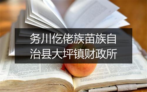 务川仡佬族苗族自治县大坪镇财政所