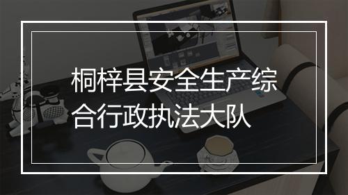 桐梓县安全生产综合行政执法大队