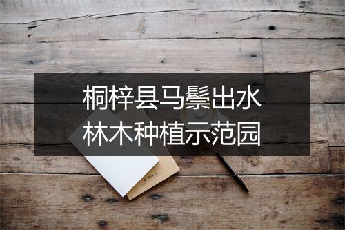 桐梓县马鬃出水林木种植示范园