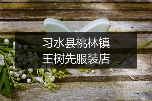 习水县桃林镇王树先服装店