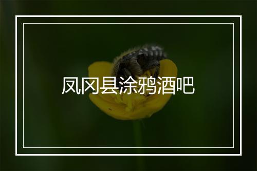 凤冈县涂鸦酒吧