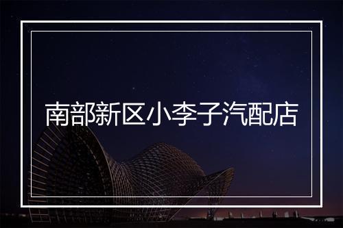 南部新区小李子汽配店
