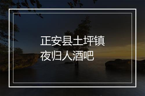 正安县土坪镇夜归人酒吧