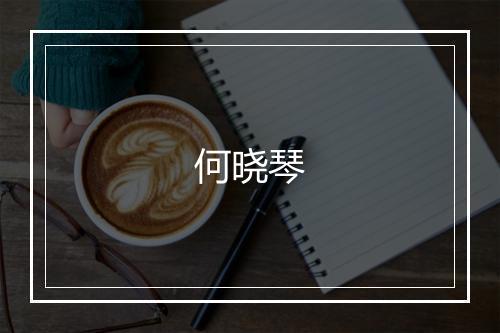 何晓琴
