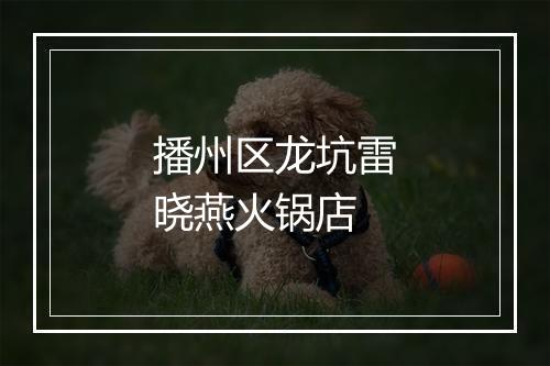 播州区龙坑雷晓燕火锅店