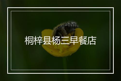 桐梓县杨三早餐店