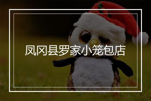 凤冈县罗家小笼包店
