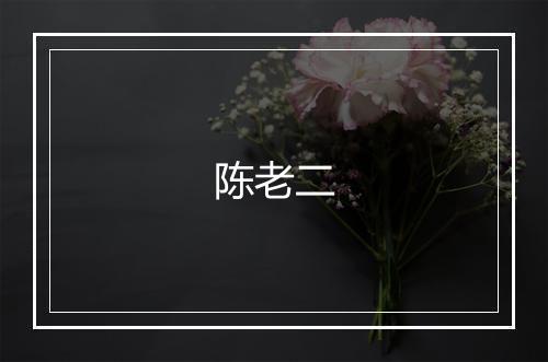 陈老二