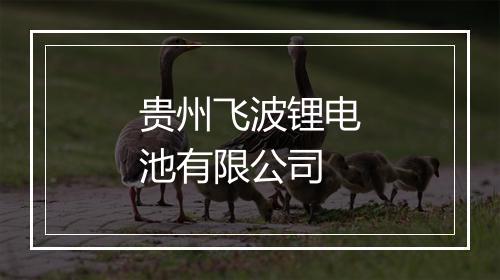 贵州飞波锂电池有限公司