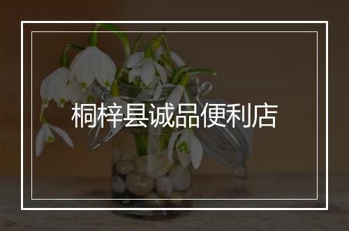 桐梓县诚品便利店