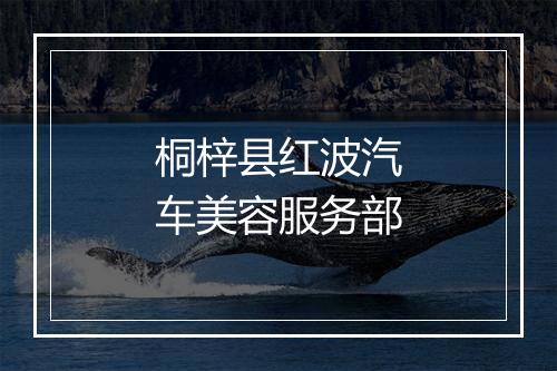 桐梓县红波汽车美容服务部