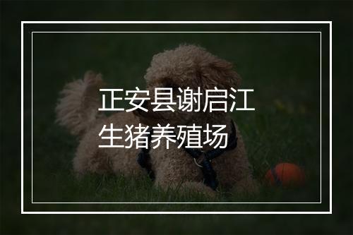 正安县谢启江生猪养殖场